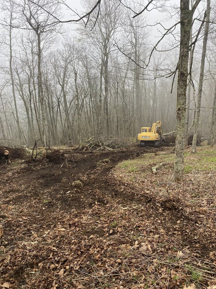 A compact machine clearing brush and undergrowth in misty winter woods