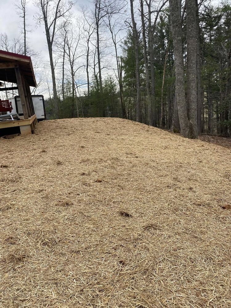 A leveled house pad graded into a wooded lot beside a covered porch